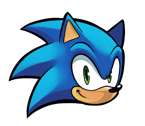 Sonic Custom